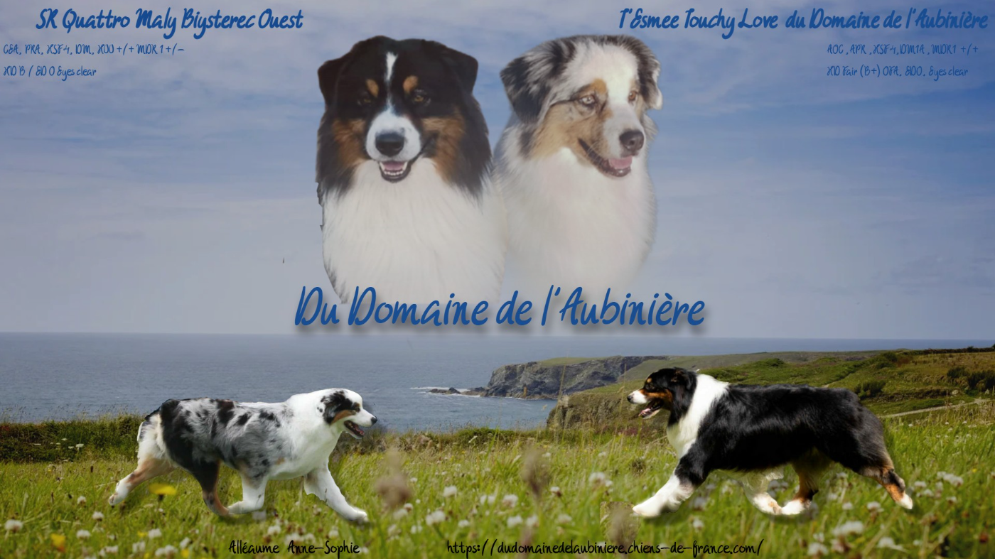 Une jolie portée à venir